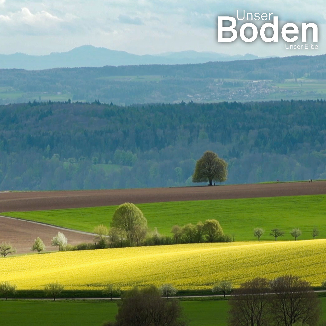 unser boden